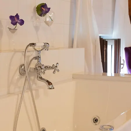 Bed & Breakfast La Celeste Galeria Mantova